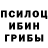 Галлюциногенные грибы мицелий SavageSneaky