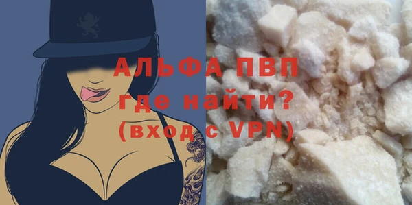 спиды Каменногорск