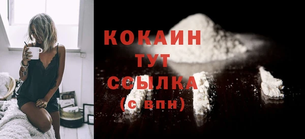 спиды Каменногорск