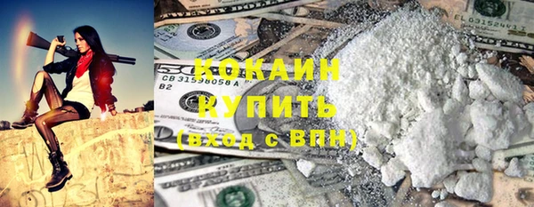спиды Каменногорск