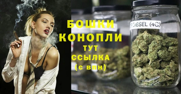 спиды Каменногорск