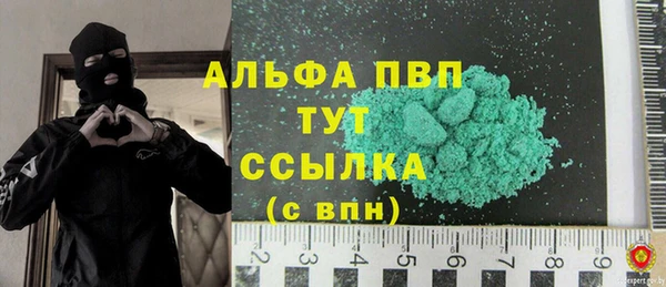 спиды Каменногорск